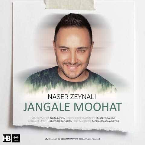 دانلود آهنگ جدید ناصر زینعلی به نام جنگل موهات