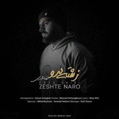 دانلود آهنگ جدید رضا شیری به نام زشته نرو