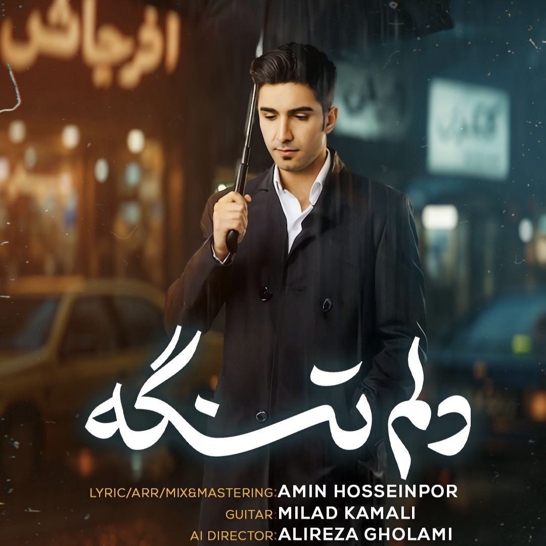 دانلود آهنگ جدید امین حسین پور به نام دلم تنگه